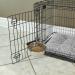 Midwest Homes for Pets Snap'y Fit Stainless Steel Food Bowl - 20oz for Dogs & Cats - Buy Online on GoSupps.com