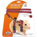ICA DA975 Hamster Harness and Leash Set - Purple | Buy Online - Buy Online on GoSupps.com