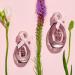 SJP Born Lovely Lush Sweet Elegant Amber Floral Eau De Parfum Spray Fragrance for Women - Mandarin Peony Honeysuckle and Freesia - Intense Long Lasting Scent - 1 oz 1 Ounce (Pack of 1) - Buy Online on GoSupps.com