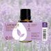 Buy Rocky Mountain Oils Purify Lavender Essential Oil - Organic Diffuser Oil for Aromatherapy | Frankincense & Sage Blend | Perfect for Spa Hotel & Sleep - Buy Online on GoSupps.com