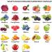 Fruits and Veggies Supplement Powerfull Blend of 39 Whole Fruits and Veggies Fills Nutritional Gaps Get Energy Well-being. USA Made Non-GMO/Vegan/Gluten Free. Packaging May Vary (30 Day Supply) - Buy Online on GoSupps.com