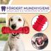 Samnis Indestructible Red Kielzeug Dog Toy - Premium Natural Rubber Squeaky & Robust for Medium & Large Dogs - Buy Now! - Buy Online on GoSupps.com