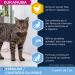EUKANUBA - Sterilized or Overweight Cat Premium Dry Food Adult Senior Complete and Balanced Food - Rich in Rice - Fresh - Buy Online on GoSupps.com