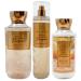 Sweet Cinnamon Pumpkin - Daily Trio Gift Set Full Size - Shower Gel Fine Fragrance Mist and Super Smooth Body Lotion - (2019 Edition)
