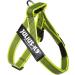 Buy Julius-K9 Belt Harness XS Mini-Mini Neon-Grey | Best Quality Dog Harness for Global Shipping - Buy Online on GoSupps.com
