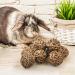 9-Piece Willow Ball Chew Toys for Small Animals | Rabbit Guinea Pig Hamster & Bird Accessories - Buy Online on GoSupps.com