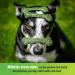 Minties VetIQ Dental Bone Treats for Medium/Large Dogs | Mint Chews, 32oz - Buy Online on GoSupps.com