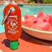 Huy Fong Licensed Mini-Sriracha2Go - Portable Sriracha Sauce Bottle (1-Pack) - Buy Online on GoSupps.com