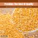 Zayd Organics Toor Dal  Indian Split Yellow Pigeon Peas  USDA Organic  1.75lbs (800g) - Buy Online on GoSupps.com