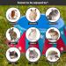 HAYPIGS Guinea Pig Bowl - Circus Themed Junior Mini Food Bowl for Small Animals | Craving Tamer Hedgehog, Hamster, Guinea Pig Bowl - Buy Online on GoSupps.com