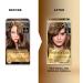 L'Oreal Paris Superior Preference Hair Dye Hair Color for Women 6 Light Brown Hair Dye Permanent Hair Color 100% Grey Coverage 9 weeks of Luminous Fade-Defying 1 Hair Dye Kit (Packaging May Vary) 1 Count ( Pack Of 1 ) Light Brown - Buy Online on GoSupps.com