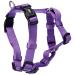 Nobby Harness Classic purple chest: 30/50 cm width: 15 mm 1 piece purple length 30-50 cm width 15 mm