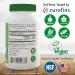 NAC N-Acetyl-Cysteine 600mg 60 VegeCaps - Purest & Most Powerful Supplement | Supports Lung & Liver Health | Vegan & Gluten Free - Buy Online on GoSupps.com