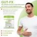 Healthology GUT-FX | Gut Supplement for Leaky Gut, Inflammation & Bloating | Probiotics, L-Glutamine & Marshmallow Root - Buy Online on GoSupps.com