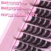Cat Eye Lash Clusters | Wispy & Fluffy Eyelash Extensions C Curl - Winifred (10-18mm) | Natural Look | International Shipping - Buy Online on GoSupps.com