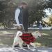 Red Buffalo Plaid Dog Shirt | Soft Casual Outfit for Small Dogs | Halloween Christmas Costumes - Buy Online on GoSupps.com