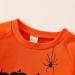 Pumpkin Print Toddler Halloween Sweatshirt | Orange Pullover for Boys and Girls 2-3T - Buy Online on GoSupps.com