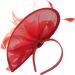 Ladies Feather Aliceband/Clip Fascinator Hat for Weddings Races Royal Ascot (Coral) - Buy Online on GoSupps.com