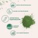 Organic Barley Grass Powder - 16 Oz | Micro Ingredients - Buy Online on GoSupps.com