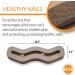 K&H Kitty Tippy Track n' Roll Cat Scratcher Cardboard Toy 22.5 x 6.5 - Interactive Fun for Cats - Buy Online on GoSupps.com