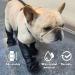 Waterproof Dog Boots Small Breed Adjustable Dogs Shoes Dog Boots with Suspenders Paw Protector Dog Booties Dog Rain Boot for Outside Running Playing Dirty-Proof - Buy Online on GoSupps.com