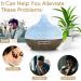 Purpledi 550ml Aroma Diffuser - Ultra Quiet Ultrasonic Humidifier for Aromatherapy BPA-Free Essential Oils Humidifier with 7 Color LED Lights - Perfect for Bedroom Yoga & Spa - Buy Online on GoSupps.com