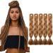 Tess Braids Extensions Brown 60 cm 5 Pack Jumbo Braids Kanecalon Kunsthaar For single-laid Box Braids Hair extension Braid 100g/bundle of hair braids extension (5 pieces- #30 chestnut brown) 60 cm (5 pieces) #30 chestnut brown