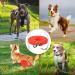 Waterproof Dog Leash - Chew Proof Tie-Out & Training Leash (5m Orange) - Durable & Weatherproof Pet Accessory - Buy Online on GoSupps.com
