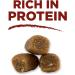 Purina ONE True Instinct Bites with Venison + Real Salmon Natural Dog Treats Bundle - Buy Online on GoSupps.com
