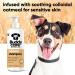 BuddyCares Oatmeal Dog Shampoo - Soothing & Moisturizing for Irritated Skin with Aloe Vera & Pro-Vitamin B5 (500ml x3) - International Shipping Available - Buy Online on GoSupps.com