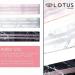 Resistance Bands Resistance Bands for Exercise Resistance Booty Bands Exercise Bands Non Slip Bands 3 Different Resistance Booty Bands Lotus Sunrise 3pc Marble Set Black Pink and White - Buy Online on GoSupps.com