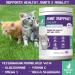 SWAGGY TAILS Glucosamine for Cats - Joint Inflammation Supplement with MSM, Chondroitin & Antioxidants | Premium Arthritis Pet Supplements (90 Chews) - Buy Online on GoSupps.com