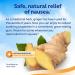Sea-Band Anti-Nausea Ginger Gum - 24 Count for Motion & Pregnancy Sickness Relief - Buy Online on GoSupps.com