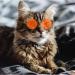 Cat Retro Sunglasses Metal Circular Glasses Props Accessories Cosplay Glasses for Cat & Puppy Dog Rabbit(1 Pack) (Pink) - Buy Online on GoSupps.com