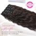 REECHO 5PCS Brown Clip in Hair Extensions 24 Thick Long Loose Waves HE002 - Dark Chocolate Brown | Natural Soft Hairpieces for Women - Buy Online on GoSupps.com