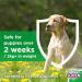 WORM SCREEN Dog (4 tablets) - Veterinary Licensed Worming Tablets for Dogs and Puppies - Kills Roundworms, Hookworms, and Tapeworms - Buy Online on GoSupps.com