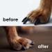 Professional Heavy Duty Dog Nail Clippers with Safety Guard for Small, Medium, and Large Breeds - Painless Nail Trimming with Anti-Slip Handles - Includes Free Nail File - Buy Online on GoSupps.com