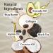 Kombucha Body Scrub with Collagen and Shea Butter | Exfoliating Skin Care by M3 Naturals - Buy Online on GoSupps.com