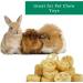 Organic 100% Natural Loofah Slices for Soap Making (20 Pack) - Luffa Cuts Kit - Hamster Chew Toys - Buy Online on GoSupps.com