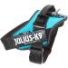 Shop IDC Powerharness Size L/1 in Aquamarine - Premium International Shipping Available - Buy Online on GoSupps.com