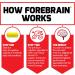 Force Factor Forebrain - 30 Capsules for Enhanced Focus & Mental Clarity - Buy Online on GoSupps.com