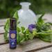 Organic Peppermint Essential Oil Roll-On 10ml - USDA Certified Pure Oil for Headache, Migraine, Pain, Nausea & Energy Relief - Travel Safe - Buy Online on GoSupps.com