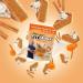 Buy FITCRUNCH Tri-Blend Whey Protein - Keto Friendly Low Cal High Protein Gluten & Soy Free (Pumpkin Pie 18 Servings) - International Shipping Available - Buy Online on GoSupps.com