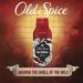 Old Spice Wild Collection Wolfthorn Men's Body Spray - 3.75 oz - Buy Online on GoSupps.com