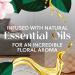 Air Wick Summer Delights Scented Oil Refill 5ct - Essential Oil Air Freshener - Buy Online on GoSupps.com
