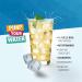 Best Body Nutrition Vital Drink Zerop - Herbal Lemonade Concentrate Sugar-Free 1:80 1000ml (1 Pack) - 80 Liters of Refreshing Herbal Drink - Buy Online on GoSupps.com