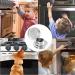 12-Piece Stove Protection Baby Buttons | Child Locking Knobs & Oven Safety | Transparent Kitchen Security - Buy Online on GoSupps.com