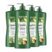 Suave Professionals Shampoo Avocado + Olive Oil 28 oz Pack of 4