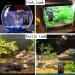 200W Submersible Aquarium Heater with External Temperature Controller and LED Display - Ideal for Betta, Frogs, Newts, Turtles - Buy Online on GoSupps.com